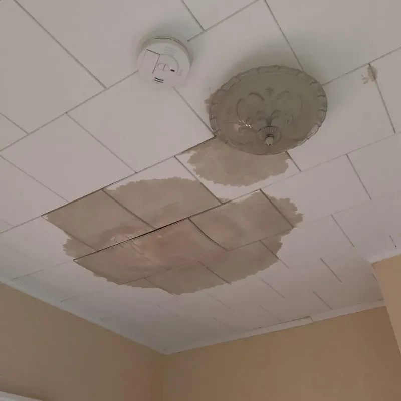 Ceiling Water Damage Repair in Mountain Green, UT