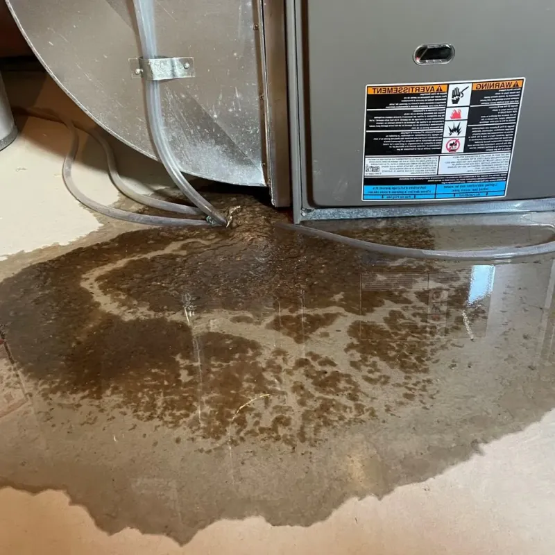 Pipe Burst and Leak Restoration in Mountain Green, UT