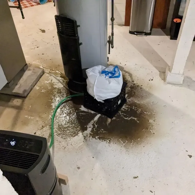Sewage Backup Cleanup Service in Mountain Green, UT